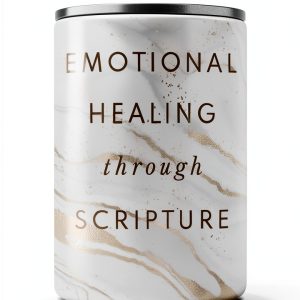 Faith Series Christian Counseling & Recovery Book 1-0