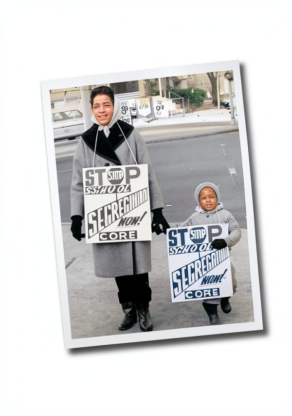 The New Press Kindle Edition Charter Schools Education Reform Book-0
