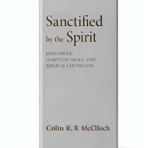 Christian Counseling Guide Reformation Heritage Books Kindle Edition-0