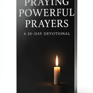 Christian Counseling Guide by Davidson Trust Publishing-0