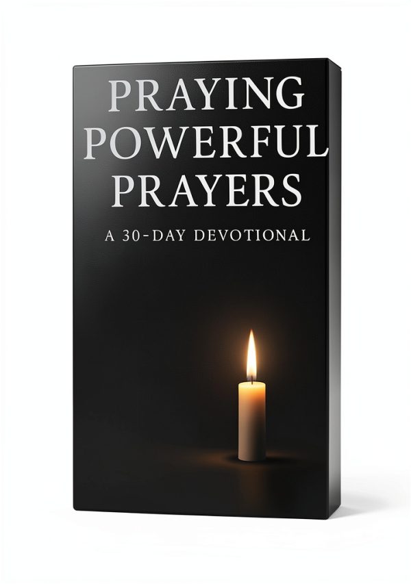 Christian Counseling Guide by Davidson Trust Publishing-0