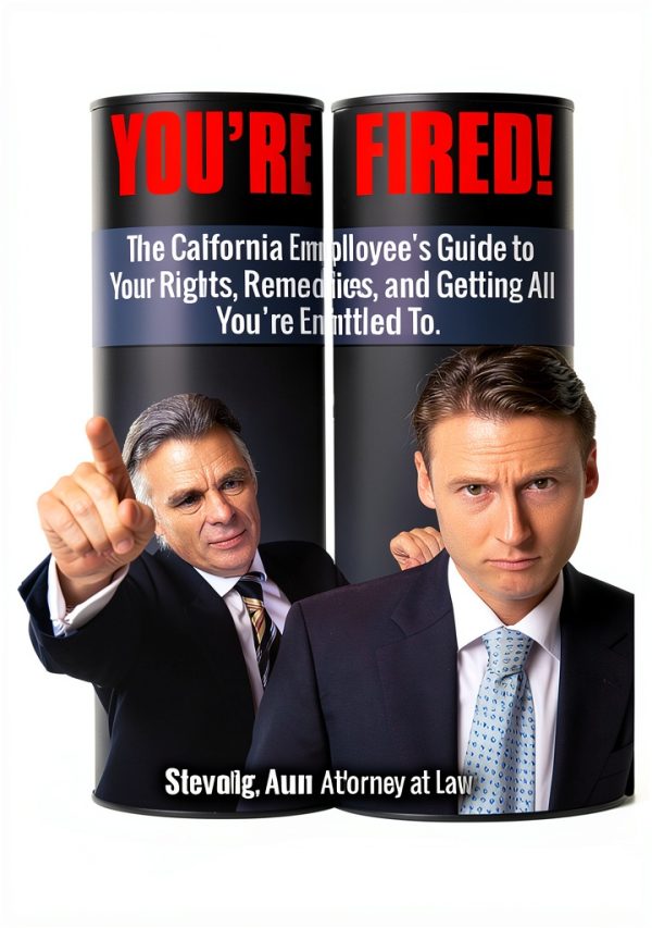 Labor Law Handbook Kindle Edition by Bountiful Publishing 49‑Page-0
